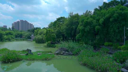 南宁狮山公园湖泊树林与城市住宅建筑