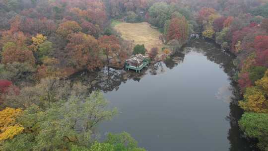 深秋的南京流徽榭流徽湖风光航拍素材