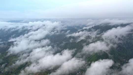 大雾清晨云雾大山云海森林自然云山脉山区