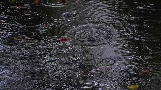 下雨雨水落在地面上雨滴涟漪视频素材模板下载