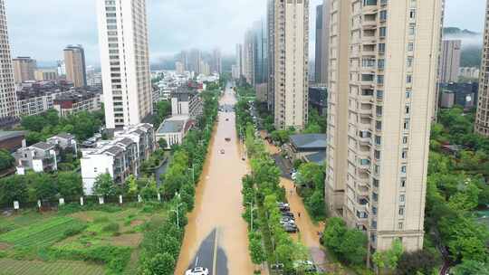 2024年6月下旬黄山市暴雨后洪水来袭