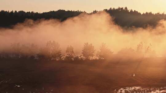 金秋十月大地秋天晨雾日出大气田园风光