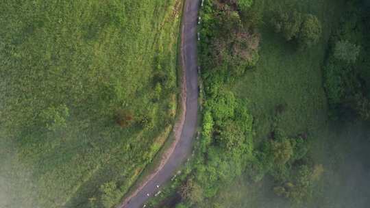 鸟瞰草地之间的道路