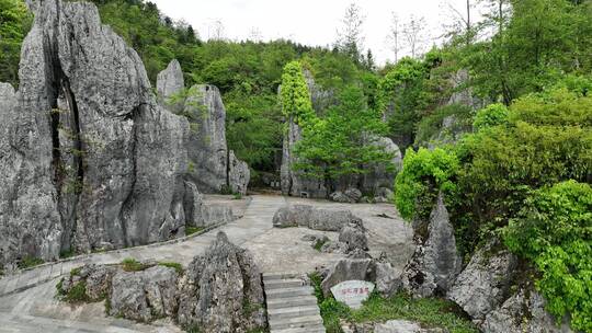 湖南湘西洛塔石林