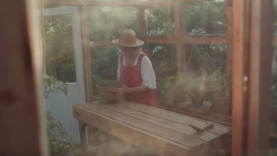 园丁在温室进行盆栽视频素材模板下载
