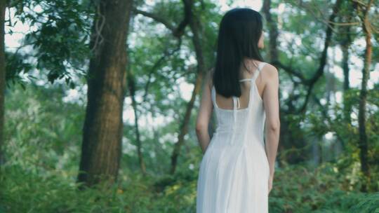 穿白色长裙的女孩在森林行走的背影视频视频素材模板下载