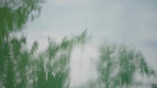 唯美天空树叶水波纹倒影水中湖面树影4k超清