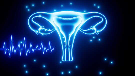 女性子宫生命周期月经周期概念图动画
