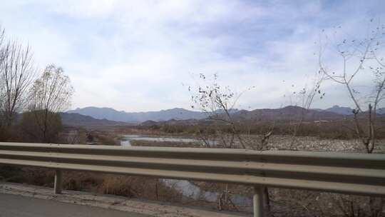 旅行 沿途 风景 公路 树