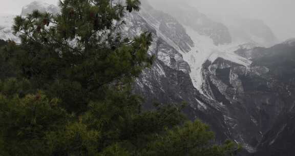 实拍下雪时候的雪山和树木