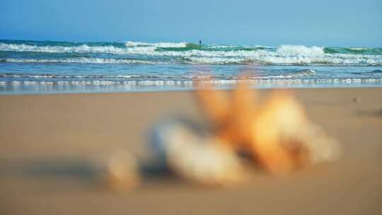 海边沙滩海滩贝壳