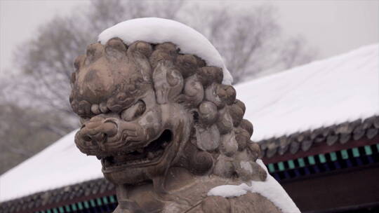 承德避暑山庄门前石狮子雪景 特写