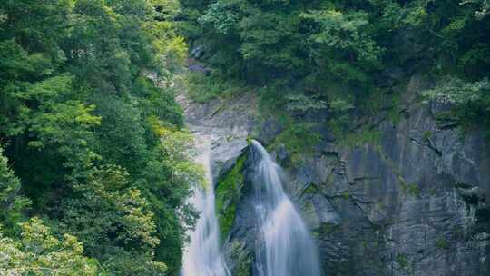 4k瀑布 水源溪流溪水山水生态植被酿