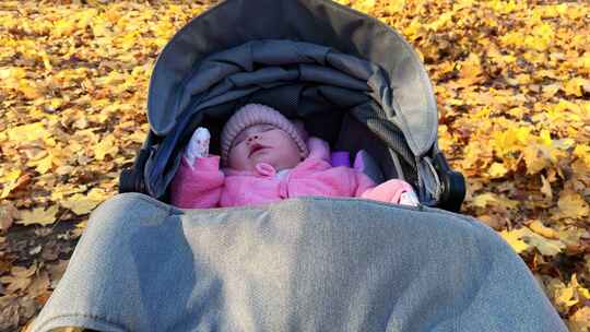 可爱的女婴睡在秋季公园的婴儿车里