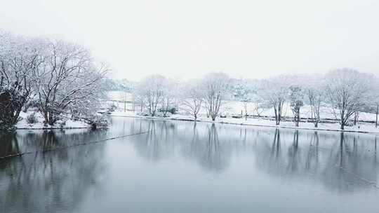 杭州西湖雪景大雪纷飞的浙江