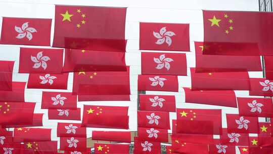 【4k】香港特别行政区区旗