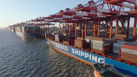 上海洋山港口货轮装卸货