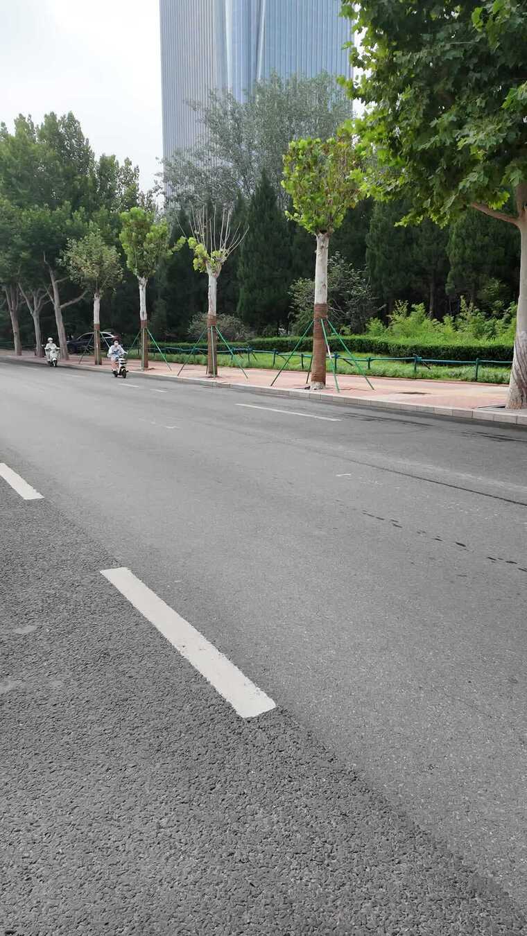 城市街道绿树旁的骑行场景