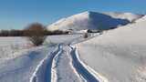 冬日雪山下的雪地车辙山里人家高清在线视频素材下载