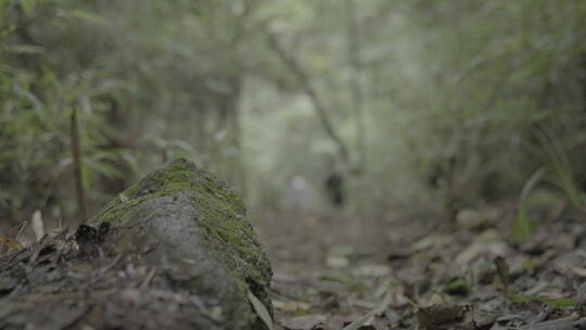 两个人行走在大山里