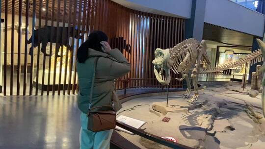 泉城欧乐堡化石博物馆视频素材模板下载