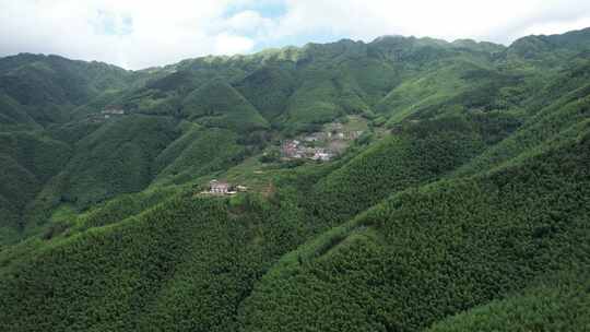 信宜平塘马安村竹海航拍延时，毛竹林航拍