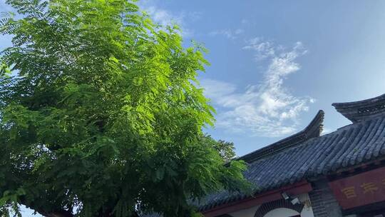 济南百花洲景区，烟火气的旅游景点