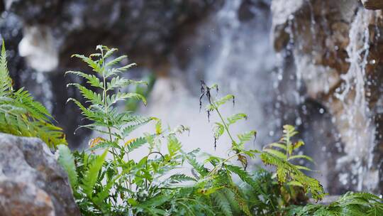 景观水池假山假石