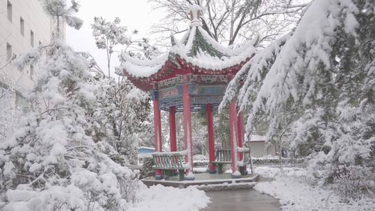 4K实拍｜雪景下的风景