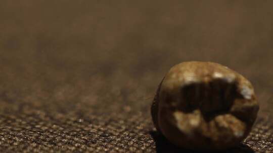 博物馆化石人类牙齿视频素材模板下载
