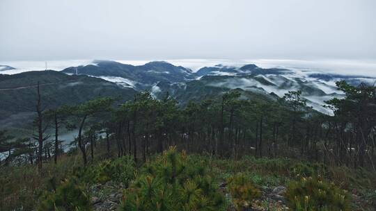 浙江丽水白鹤尖群山云海延时