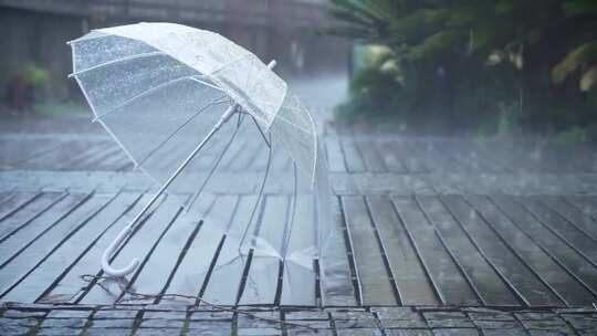 治愈意境雨景、细雨中的透明雨伞