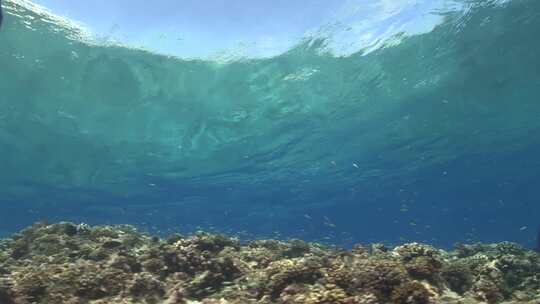 实拍海底世界水下光线led背景视频