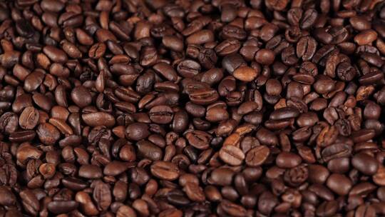 生咖啡豆 咖啡
