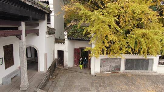 航拍南岳衡山5A景区福严寺千年银杏树