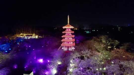 4k合集-武汉市东湖樱花园五重塔夜景航拍