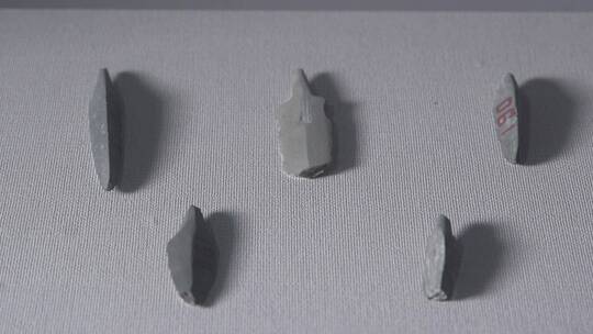 博物馆里的古人类石制箭头LOG视频素材