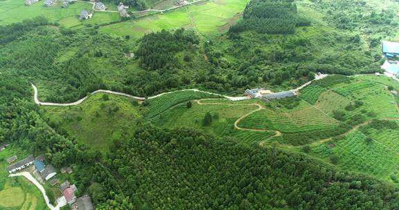 山区农田牧场