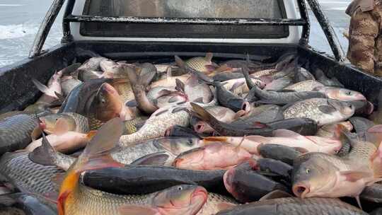 冰封湖面上的传统捕鱼