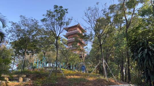 蓝色天空下森林公园里面的高塔