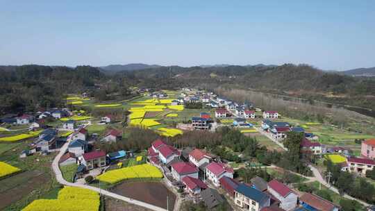 美丽乡村田园油菜花丘陵山川航拍