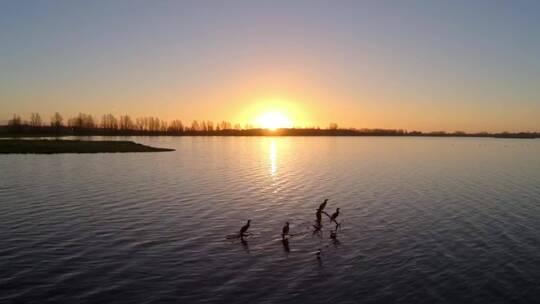 日落时分飞越湖面