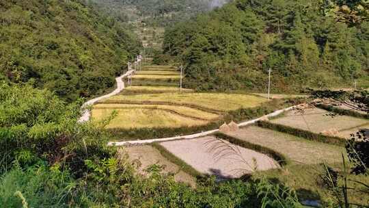 在人迹罕至的山间遇见梦中的景致