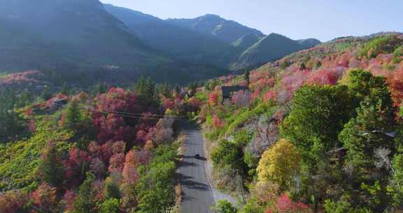 美丽的山林公路