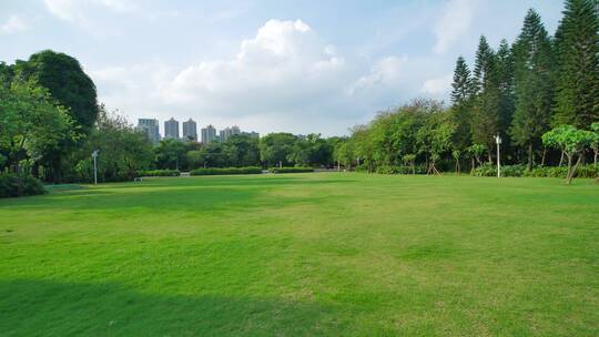 阳光城市广场森林公园草坪草地绿地