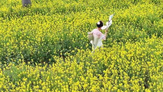 中国广东省广州市南沙区东涌油菜花