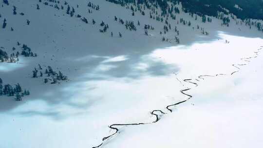 新疆禾木阿尔泰山里的林海雪原