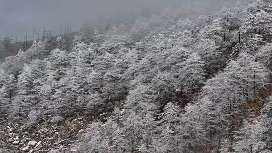 秦岭朱雀国家森林公园（冰晶顶）雪景航拍