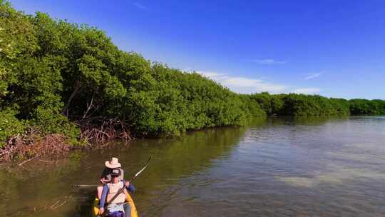 皮划艇，Tavernier Key，红树