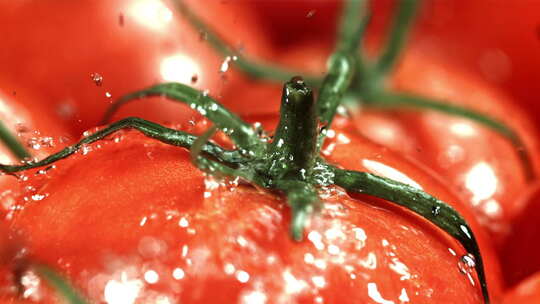 水滴在西红柿上的微距特写
